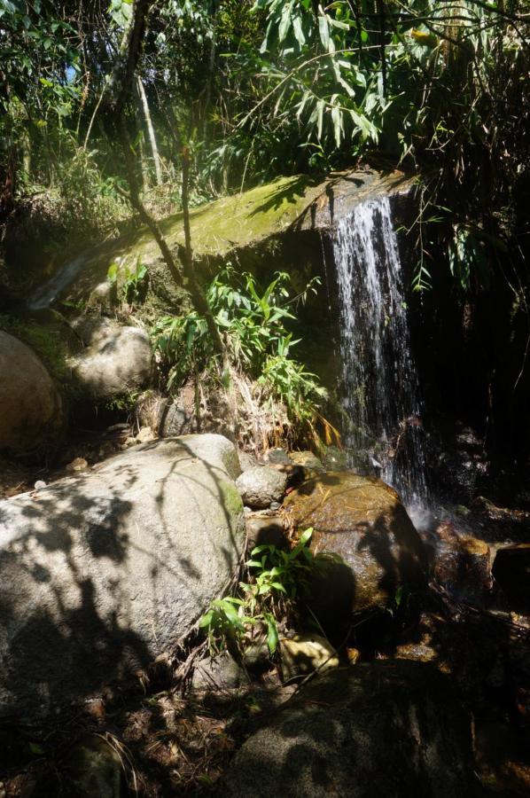 Ecofinca Fuente Alegre Cocorná Exterior foto